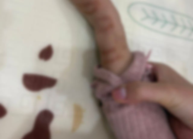 611118652_1335357765291886_2124289386747673732_n