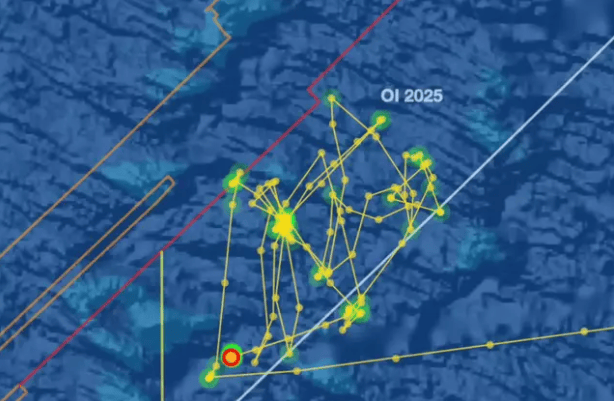 Phát hiện điểm rất bất thường khi đang tìm kiếm máy bay MH370- Ảnh 2.