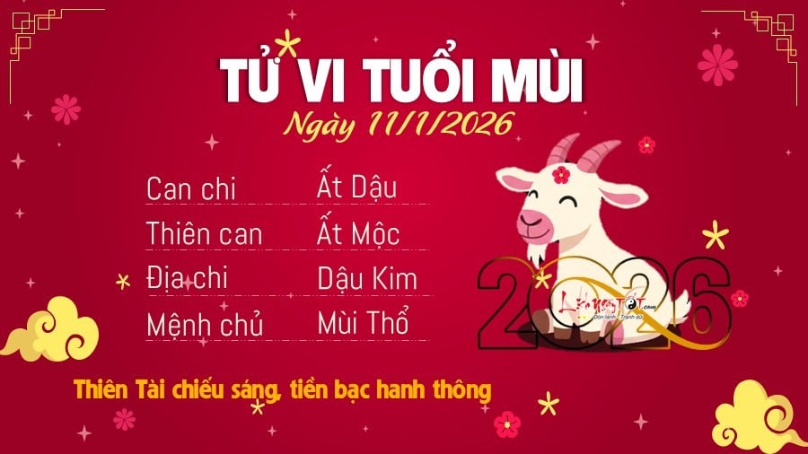 Tu vi hang ngay 11/1/2026 cua Mui