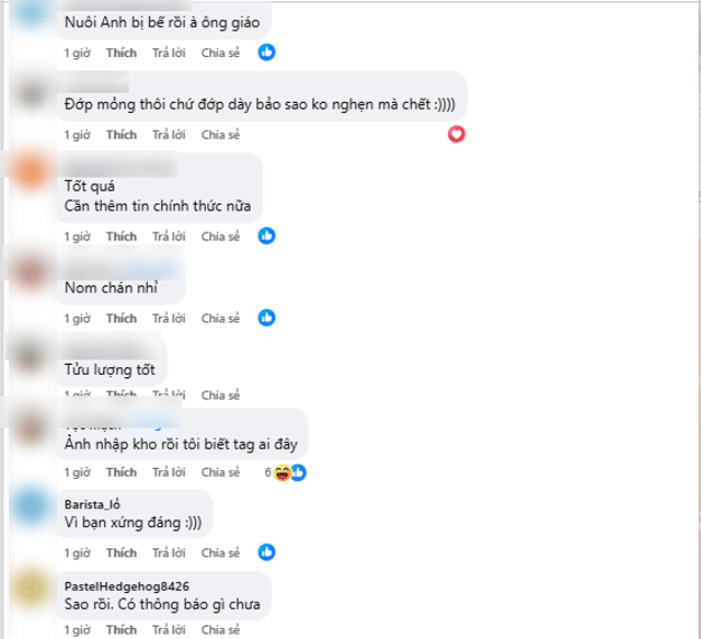 Hoang-hoa-trung-chu-du-an-nuoi-em-dong-loat-bi-ren-ten-tren-cac-page-lon-ro-tin-don-gap-bien-lon-11