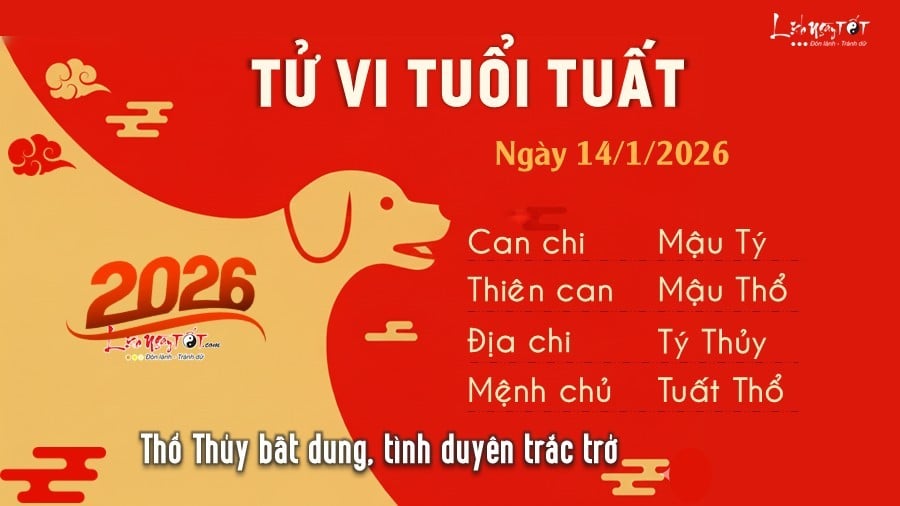 13-1768323236-tu-vi-thu-4-ngay-1412026-cua-12-con-giap-mui-vat-va-hoi-an-nen-lam-ra.jpg
