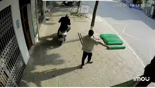 danh-tinh-nghi-pham-8