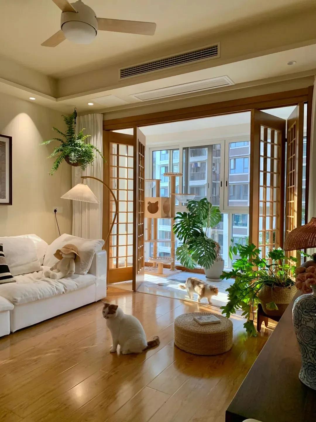 Ở nhà dọn dẹp, không mua sắm, không giao tiếp xã hội: Nữ giáo viên khiến hàng nghìn người nhìn lại cách mình đang sống- Ảnh 4.