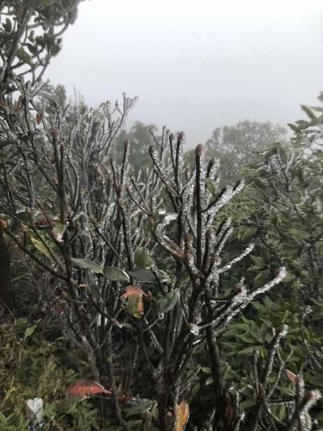 can-canh-lop-bang-gia-xuat-hien-tren-dinh-mau-son-2