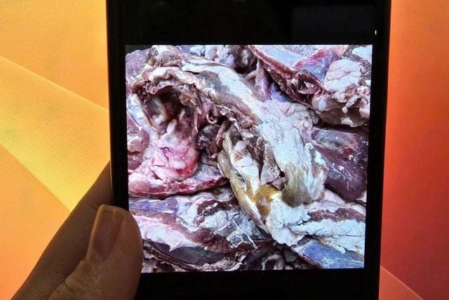 90kg-thit-lon-nghi-kem-chat-luong-o-truong-tieu-hoc-tphcm