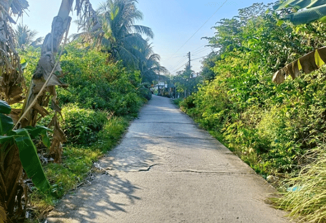 Vu-2-me-con-bi-sat-hai-o-ca-mau-xuat-hien-tinh-tiet-gay-soc-he-lo-nguon-con-dan-den-an-mang-kinh-hoang-1