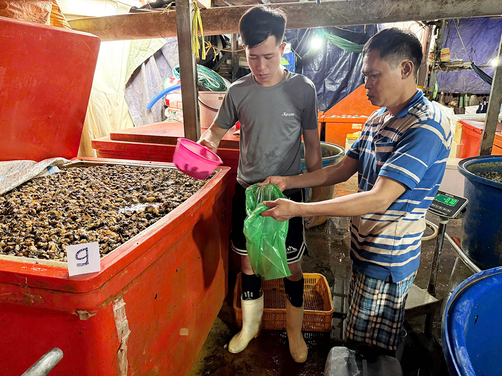 oc ngam hoa chat 2.png