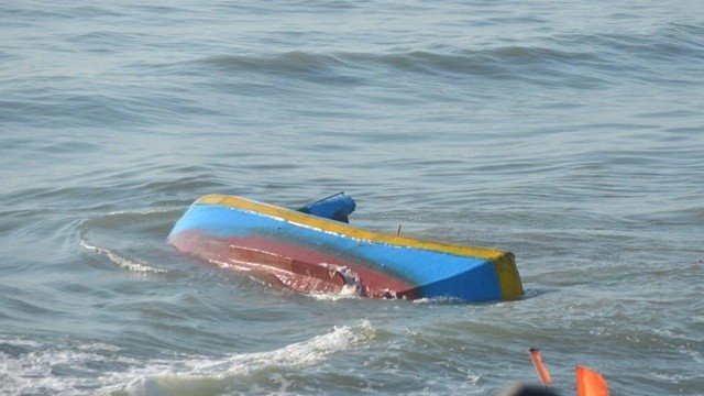 Tauca-chim-1769914061-6812-1769914106_11zon