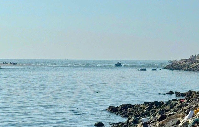 Tau-chim-1769913921-2332-1769914106_11zon