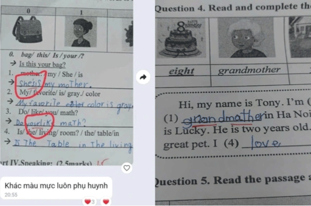 Co-giao-sua-bai-thi-tieng-anh-2