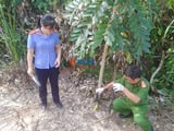 Ảnh minh họa