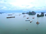 Đọc nhanh bài viết #1004496