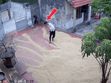 Đọc nhanh bài viết #1004500