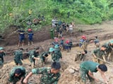 Đọc nhanh bài viết #1004572