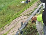 Đọc nhanh bài viết #1005052