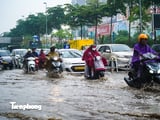 Đọc nhanh bài viết #1005201