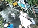 Đọc nhanh bài viết #1005335