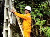 Đọc nhanh bài viết #1005378