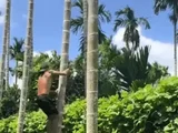 Đọc nhanh bài viết #1006287