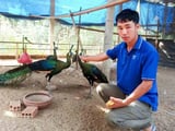 Đọc nhanh bài viết #1006375