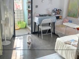 Đọc nhanh bài viết #1006413