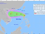 Đọc nhanh bài viết #1007443
