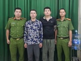 Ảnh minh họa