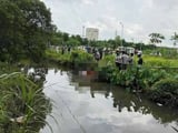Đọc nhanh bài viết #1008887
