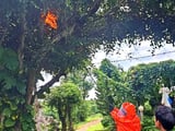 Đọc nhanh bài viết #1010246