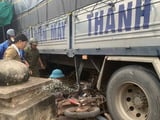 Đọc nhanh bài viết #1011357