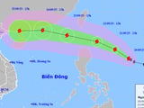 Đọc nhanh bài viết #1011900