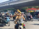 Đọc nhanh bài viết #1012560