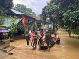 Đọc nhanh bài viết #1013221