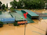Đọc nhanh bài viết #1013485
