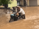 Đọc nhanh bài viết #1013996