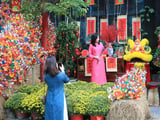 Đọc nhanh bài viết #1014011