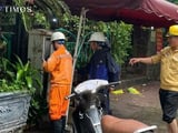 Đọc nhanh bài viết #1014597