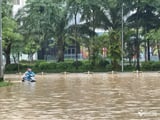 Đọc nhanh bài viết #1014706
