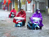 Đọc nhanh bài viết #1014794