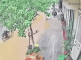 Đọc nhanh bài viết #1015600