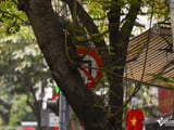 Đọc nhanh bài viết #1015914