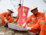 Đọc nhanh bài viết 1015981