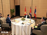 Đọc nhanh bài viết #1017653