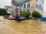Đọc nhanh bài viết #1017838