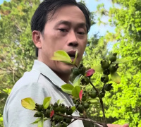 Ảnh minh họa