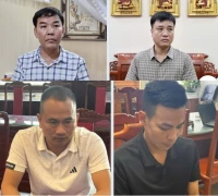 Đọc nhanh bài viết #1003961