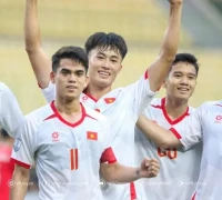 Đọc nhanh bài viết #1003966