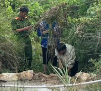 Ảnh minh họa