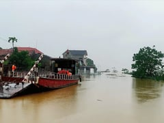 Ảnh bìa bài viết 1000114