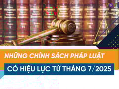 Ảnh bìa bài viết 1000137
